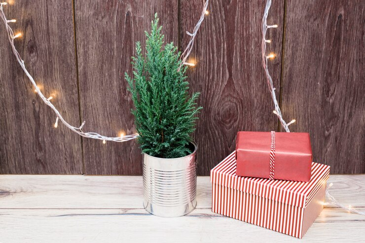 Christmas Tree Containers: Creative Container & Collar Ideas